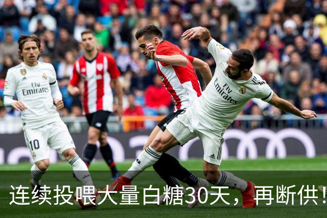 连续投喂大量白糖30天，再断供！国外网红扮“蚂蚁天神”整蛊野生蚁群